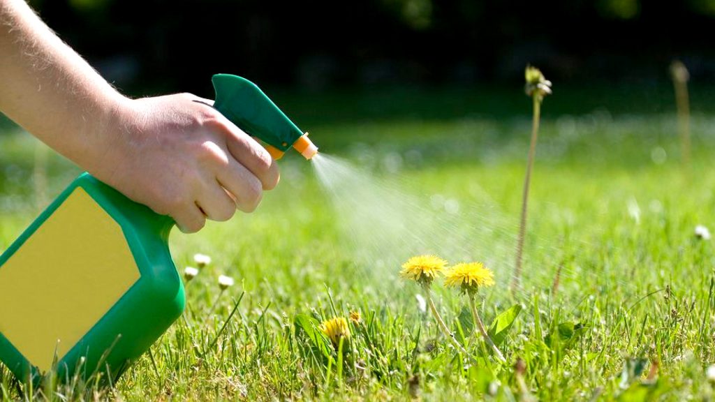 Benefits of Concentrated Weed Killers