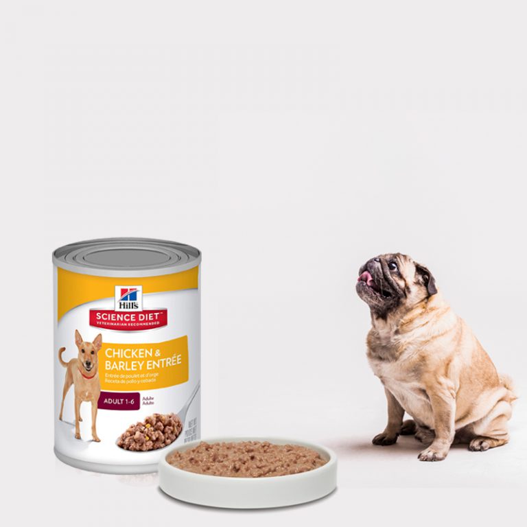 Best for Weight Maintenance - Hill_s Science Diet Wet Dog Food