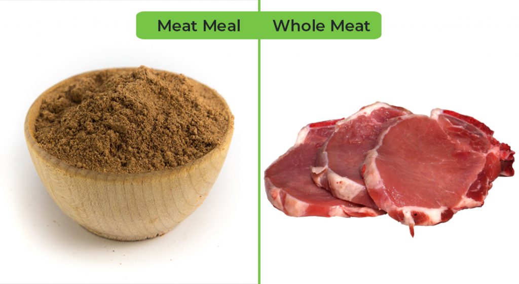 Meat Meal vs Whole Meat