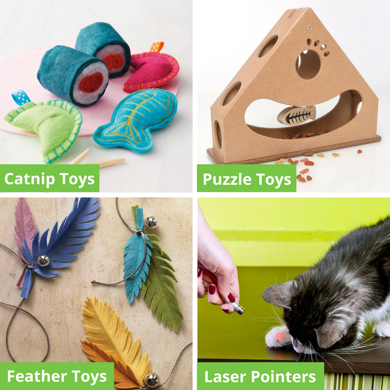 Types of Cat Toys - 1 - WITH TEXT