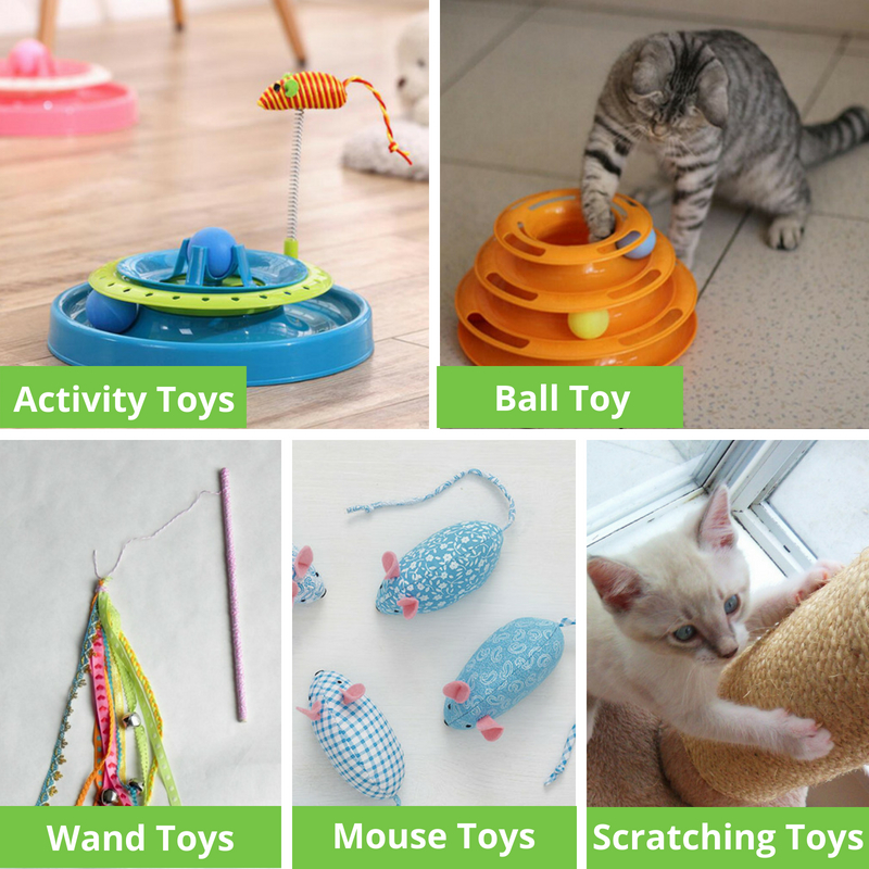 Types of Cat Toys - 2 - WITH TEXT