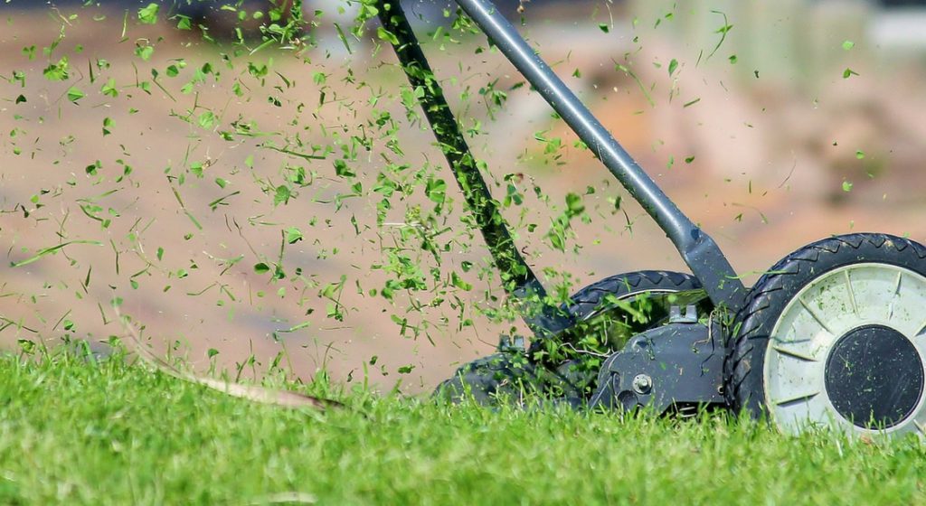 Top Features to Look for in Zero Turn Mowers