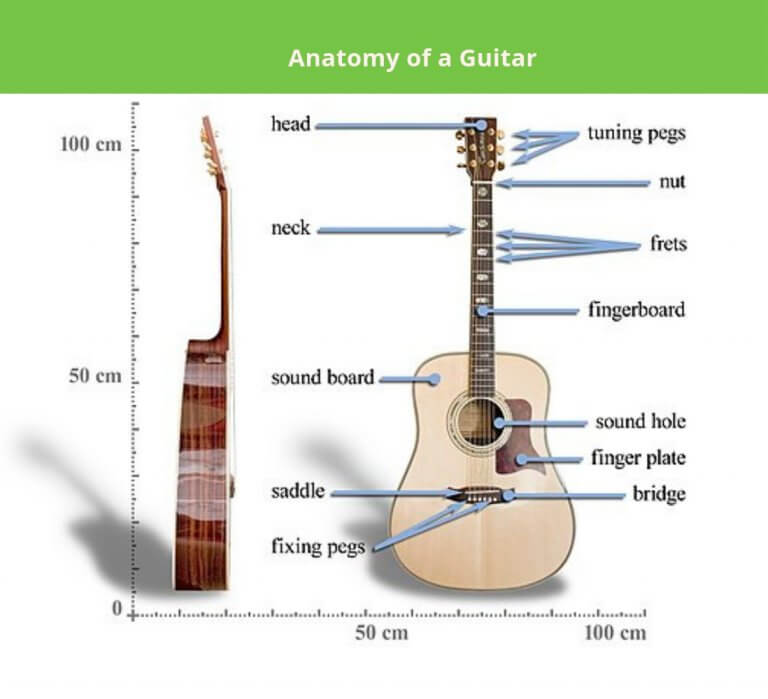 Parts of an Acoustic Guitar
