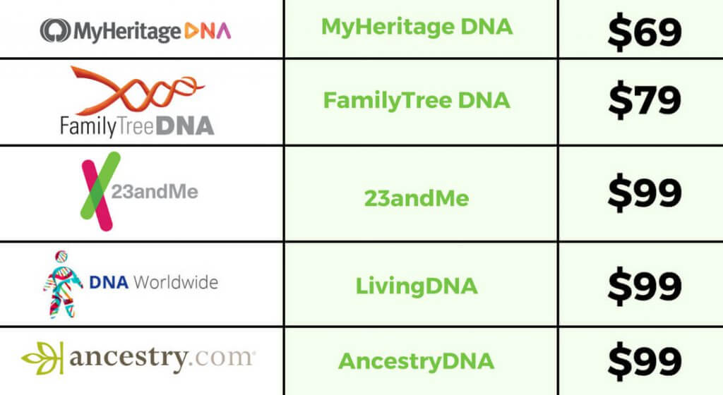How Much Should You Pay for a DNA Test-